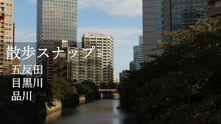 東京日常写真 五反田, 目黒川, 品川 散歩スナップ｜Tokyo Street Photography : Gotanda, Shinagawa