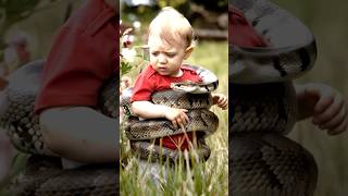 🐕 Heroic Chihuahua Saves Baby from Venomous Snake in the Backyard! 🐍 #animalrescue