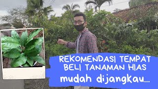 WISATA #3 TOKO TANAMAN HIAS MURAH DI TASIKMALAYA