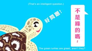 Mark taiwan【逮丸萬物論－EP07綠蠵龜】everything about taiwan－Chelonia mydas(Green turtle)台灣 綠蠵龜