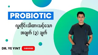 Probiotic | Dr. Ye Yint