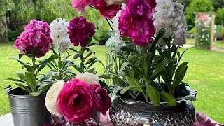 Using mini planters as table arrangements