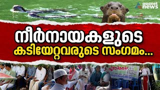 നീർനായകളുടെ കടിയേറ്റത് 200 പേർക്ക് ; തെയ്യത്തുംകടവിൽ നാട്ടുകാരുടെ ദുരിതം | Otters Attack