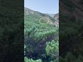 【放送事故】登山中にクマと遭遇 shorts