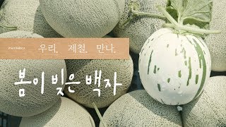 [우리.제철.만나.] 봄 한정 최고의 디저트 | 백자멜론 편