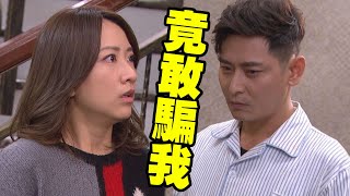 【炮仔聲】EP299預告 盈盈說謊被拆穿 連懷孕也留不住至明！