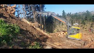 NZ logging passing logs uphill to skid