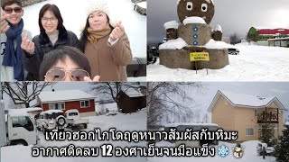 เที่ยวฮอกไกโดฤดูหนาวสัมผัสกับหิมะอากาศติดลบ 12 องศาเย็นจนมือแข็ง❄️☃️