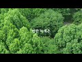 오월 바람에 흔들리는 숲이 이리 아름다운 줄 이제야 알았네 feat. 피천득의 오월 a light shade of green in may