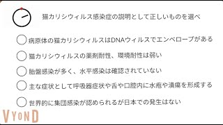 #160　猫カリシウィルス感染症　 ポチッと問題練習愛玩動物看護師国家試験対策