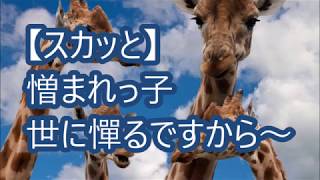 【スカッと】憎まれっ子世に憚るですから〜