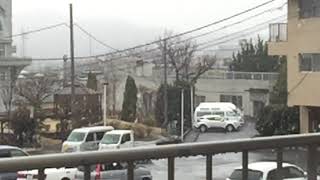 ウェザーリポート動画0314@東京都八王子市13:30頃 雪が降る風景①