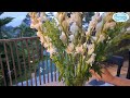 tuberose flower arrangement merangkai bunga sedap malam