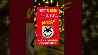 FX生活者・長期継続者多いFX自動売買システム☆爆益型なら月利200～500%☆ナント放置安定型でも月利100%☆上級者多いですがFX初心者サポ万全☆長期運営の安心環境