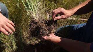 Drought Management Plan (Jim Kopriva)