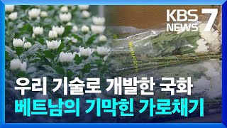 수출 국산 국화 품종 베트남산 둔갑…농민 반발 / KBS  2023.08.30.