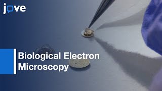 Fundamental Technical Elements Of Freeze-Fracture/Freeze-Etch l Protocol Preview