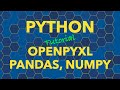 Python openpyxl Pandas and Numpy