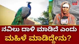 Women Complaint On Peacock | ನವಿಲು ಕುಕ್ಕಿದ್ದಕ್ಕೆ ದೂರು ಕೊಟ್ಟ ಮಹಿಳೆ! | Karnataka News