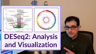 RNA-seq tutorial with DESeq2: Differential gene expression project