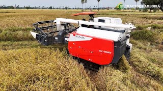 Greatest Techniques Operator Harvester New Model Kubota DC108X Of Cambodian Farmer Harvest Rice