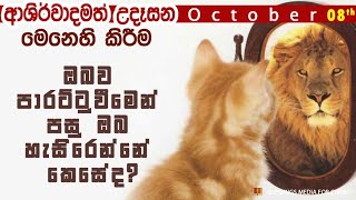 ඔබ‍ව පාරට්ටුවීමෙන් පසු ඔබ‍ හැසිරෙන්නේ කෙසේද?