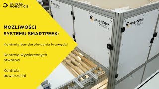 Wizyjny system kontroli jakości płyt meblowych - SmartPeek