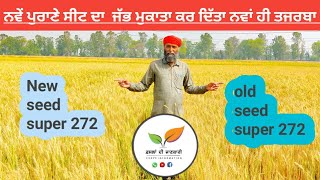 ਨਵੇਂ ਪੁਰਾਣੇ ਬੀਜ ਦਾ ਸ਼ੱਕ ਨਿਕਲ ਗਿਆ• New and old seed plot of Shriram 272