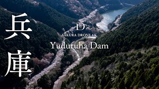 [桜ドローン撮影4K] 兵庫県南あわじ市 諭鶴羽ダム公園 / Yuduruha Dam, Minamiawaji, Hyogo | 桜ドローンプロジェクト