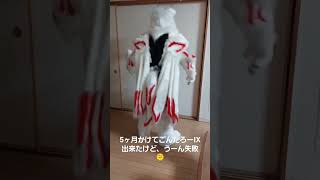 ギーツIXっぽいコスプレした狐だけども…