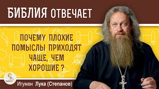 Почему плохие помыслы приходят чаще, чем хорошие?  Игумен Лука (Степанов)