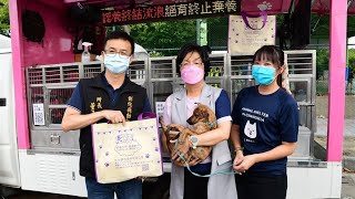 彰化縣響應世界狂犬病日　3場免費犬貓疫苗注射及絕育