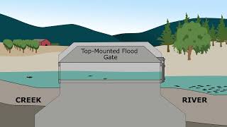 Top Mounted Floodgate - A problem for fish passage