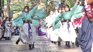 早稲田大学 東京花火『うらら』 Tokyo Hanabi 2022 “Urara”   四日市よさこい アーケード街 公園通