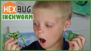 Hexbug Inchworm Remote Controlled Bug Review