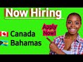 Easy Application For Jobs Now Available In Canada & The Bahamas High Paying Opportunities Apply Now