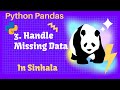 Python Pandas Tutorial 3: Handle Missing Data: fillna, dropna, interpolate in Sinhala