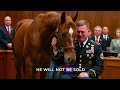 the ex soldier wanted to bid farewell to his horse in court but what happened shocked everyone