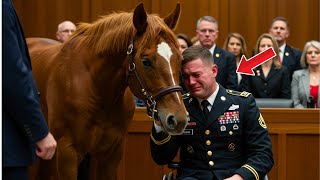 The ex-soldier wanted to bid farewell to his horse in court, but what happened shocked everyone!