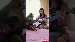 Viral Monyet Main Gitar di Kamar Tidur Sama Wanita #empudstudiogrup #empudstudioai #shorts