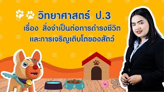 วิทยาศาสตร์ ป. 3 หน่วย 1 EP 1 เรื่อง สิ่งจำเป็นต่อการดำรงชีวิตและการเจริญเติบโตของสัตว์