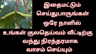 இதைமட்டும் செய்துபாருங்கள்..ஒரே நாளில் உங்கள் குலதெய்வம் வீட்டிற்கு வந்து நிரந்தரமாக வாசம் செய்யும்.