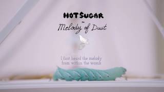 Hot Sugar - I first heard the melody from within the womb