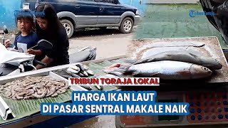 Harga ikan laut di Pasar Sentral Makale Alami Kenaikan Signifikan Dipicu Perubahan Cuaca