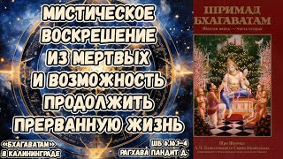 Мистическое воскрешение из мертвых и возможность продолжить прерванную жизнь. РагхаваПандит 6.16.1–4