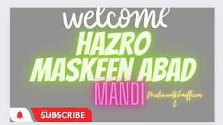 hazro, hazro city, hazro aseel mandi 2022, hazro tv, hazro aseel mandi@mehmood174