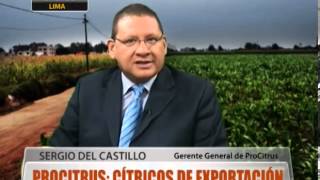 ProCitrus: cítricos de exportación