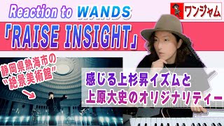 WANDS「RAISE INSIGHT」MVリアクション！WANDSの持ち味とトレンドの融合