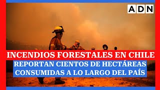 Incendios forestales en Chile: Reportan cientos de hectáreas consumidas a lo largo del país