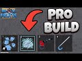 Remember this Pro Build? (Blox Fruits)